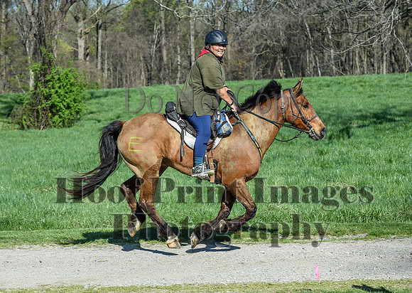 ChesapeakeSpring(4-18-21)0383