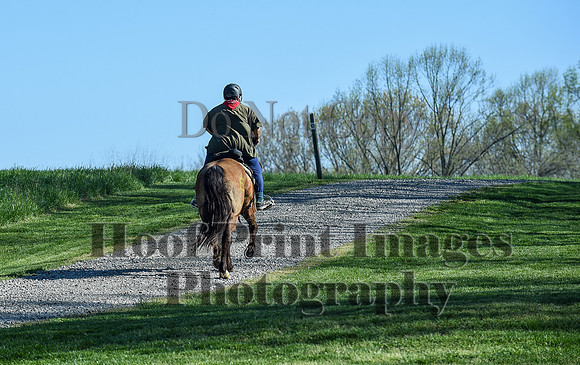 ChesapeakeSpring(4-18-21)0384