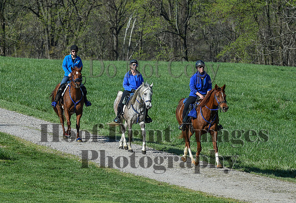 ChesapeakeSpring(4-18-21)0385
