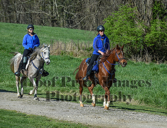 ChesapeakeSpring(4-18-21)0386
