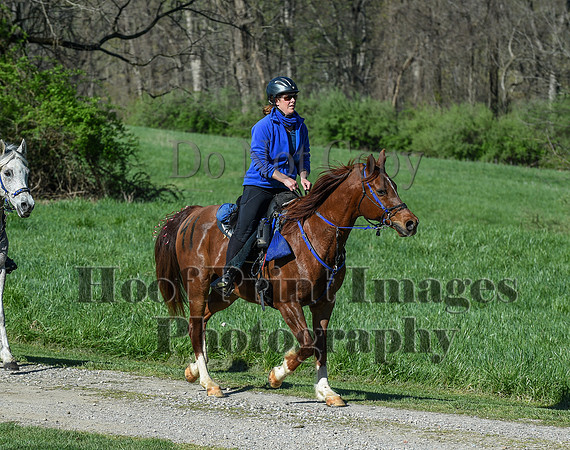 ChesapeakeSpring(4-18-21)0388