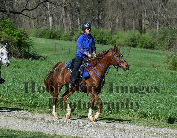 ChesapeakeSpring(4-18-21)0389
