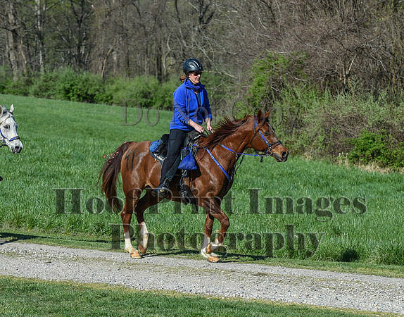 ChesapeakeSpring(4-18-21)0390