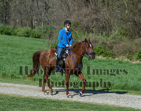 ChesapeakeSpring(4-18-21)0396