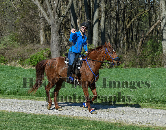 ChesapeakeSpring(4-18-21)0399