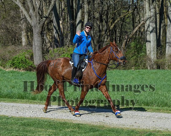 ChesapeakeSpring(4-18-21)0401