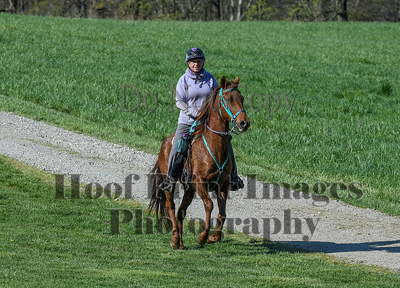 ChesapeakeSpring(4-18-21)0414