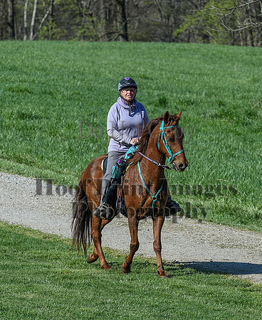 ChesapeakeSpring(4-18-21)0415
