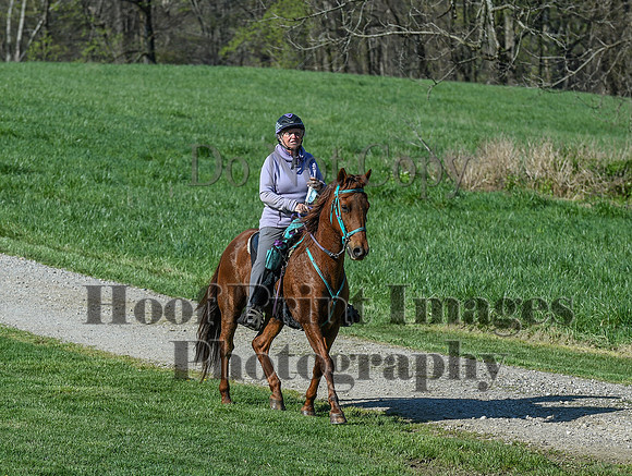 ChesapeakeSpring(4-18-21)0416