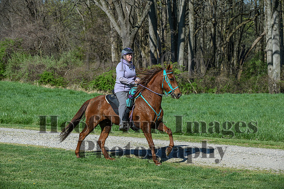 ChesapeakeSpring(4-18-21)0425