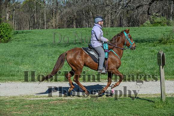 ChesapeakeSpring(4-18-21)0430