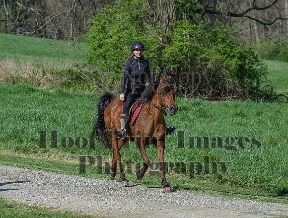 ChesapeakeSpring(4-18-21)0431