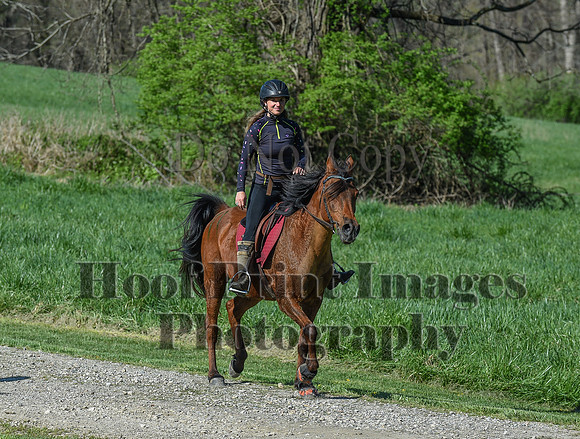 ChesapeakeSpring(4-18-21)0432