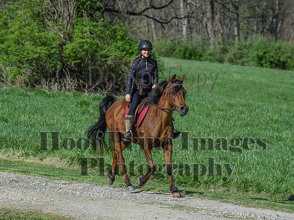 ChesapeakeSpring(4-18-21)0433