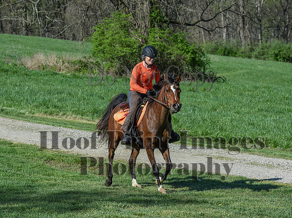 ChesapeakeSpring(4-18-21)0437
