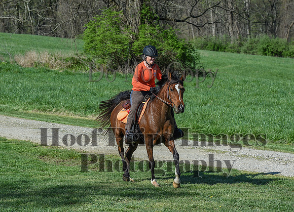 ChesapeakeSpring(4-18-21)0438