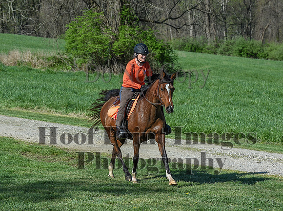 ChesapeakeSpring(4-18-21)0439
