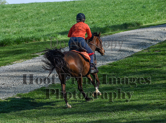 ChesapeakeSpring(4-18-21)0451