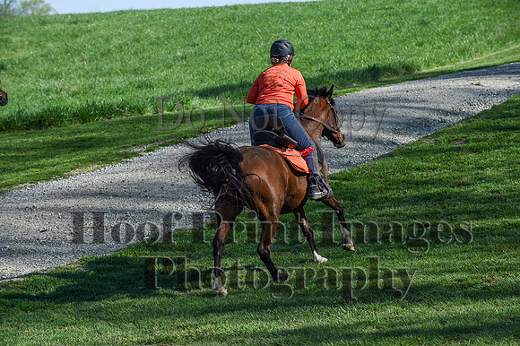 ChesapeakeSpring(4-18-21)0452