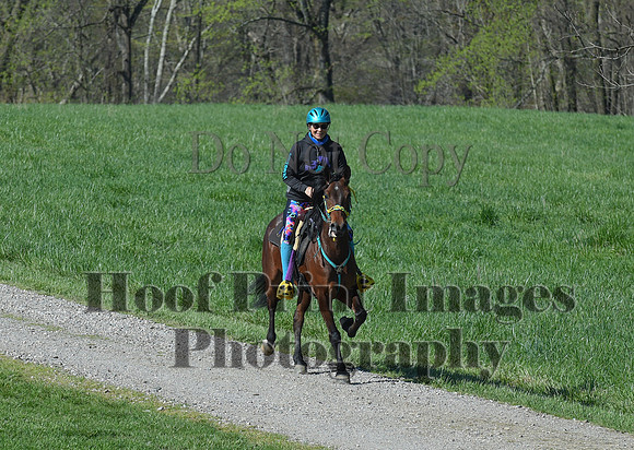 ChesapeakeSpring(4-18-21)0505