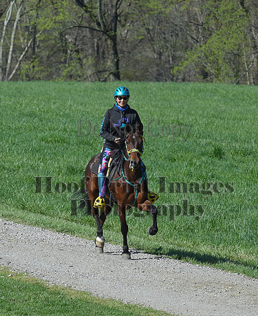 ChesapeakeSpring(4-18-21)0506
