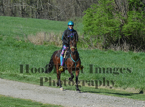 ChesapeakeSpring(4-18-21)0507