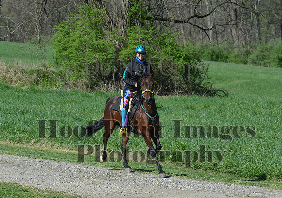 ChesapeakeSpring(4-18-21)0509