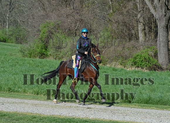 ChesapeakeSpring(4-18-21)0512