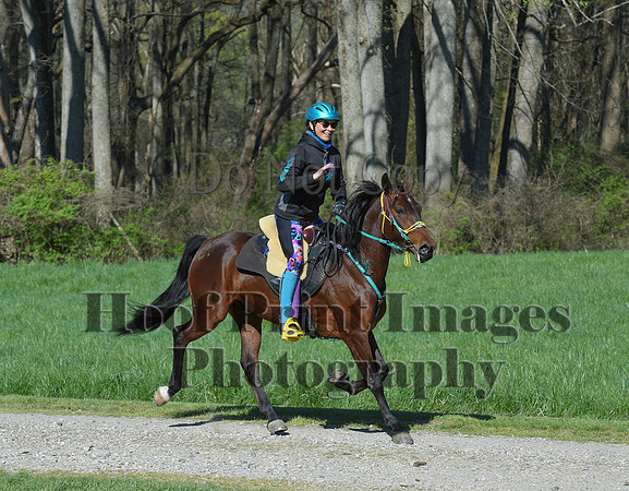 ChesapeakeSpring(4-18-21)0517