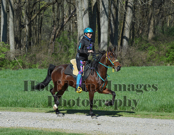 ChesapeakeSpring(4-18-21)0518