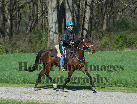 ChesapeakeSpring(4-18-21)0519