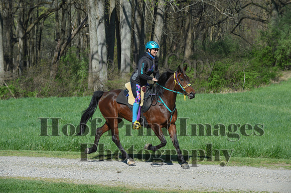 ChesapeakeSpring(4-18-21)0520