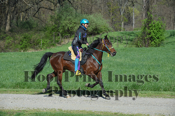 ChesapeakeSpring(4-18-21)0522