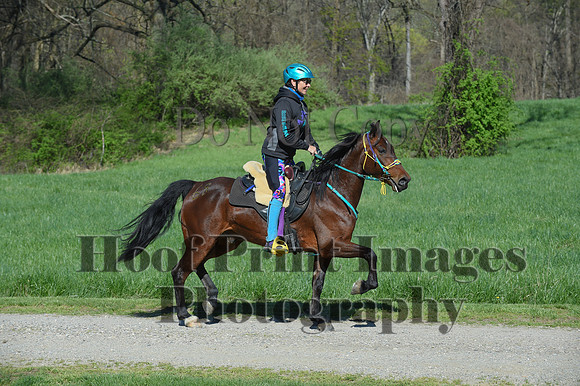 ChesapeakeSpring(4-18-21)0523