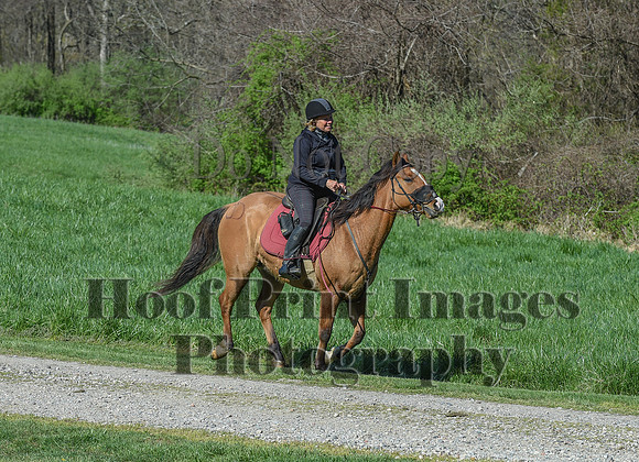 ChesapeakeSpring(4-18-21)0528