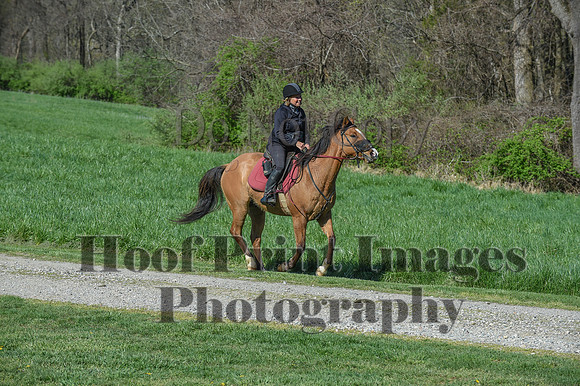 ChesapeakeSpring(4-18-21)0529