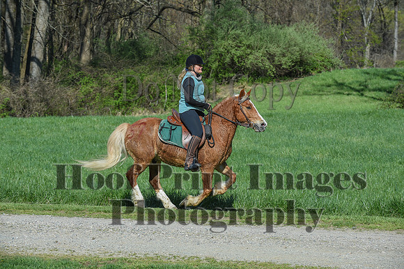 ChesapeakeSpring(4-18-21)0541