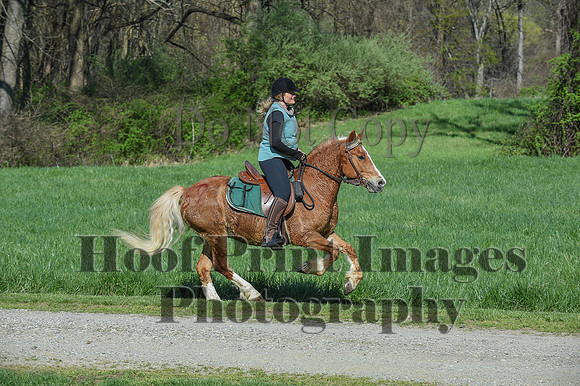 ChesapeakeSpring(4-18-21)0542