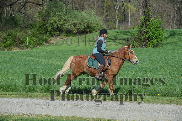 ChesapeakeSpring(4-18-21)0545