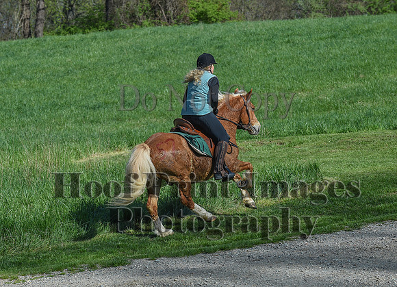 ChesapeakeSpring(4-18-21)0548