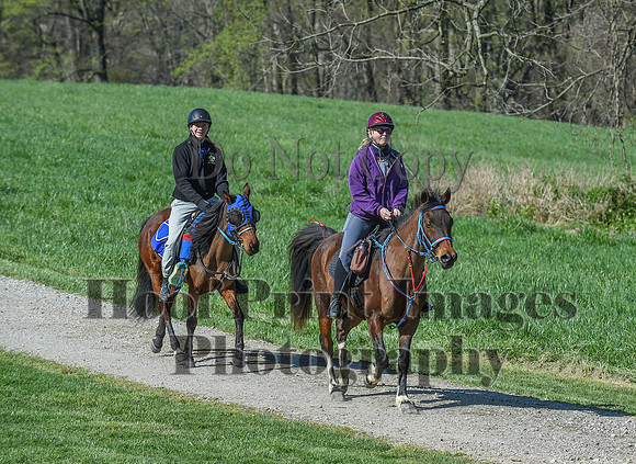 ChesapeakeSpring(4-18-21)0550