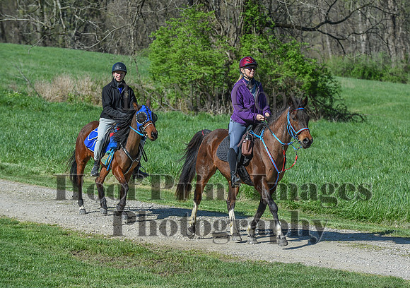 ChesapeakeSpring(4-18-21)0551