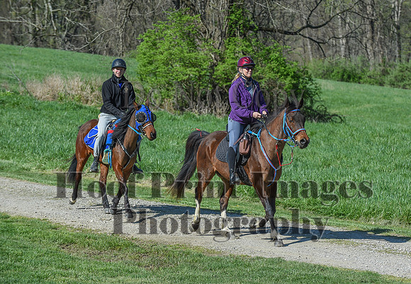 ChesapeakeSpring(4-18-21)0552