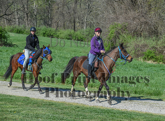 ChesapeakeSpring(4-18-21)0553