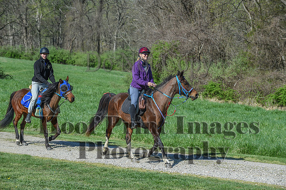 ChesapeakeSpring(4-18-21)0554