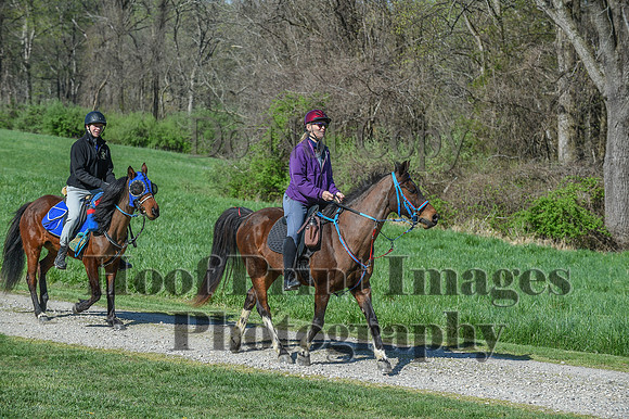 ChesapeakeSpring(4-18-21)0555
