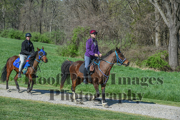 ChesapeakeSpring(4-18-21)0556