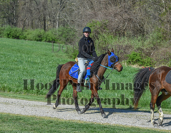 ChesapeakeSpring(4-18-21)0557