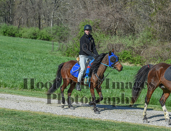 ChesapeakeSpring(4-18-21)0558