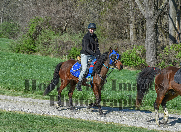 ChesapeakeSpring(4-18-21)0560